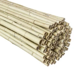 Bamboe Schutting Naturel Ca. 180x180 Cm -Tuin En Buiten 123 1437