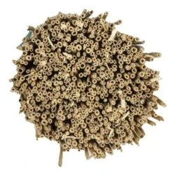 Rietmat Ca. 180x600 Cm 5 Rietmat Ca. 180x600 Cm -Tuin En Buiten 123 1553