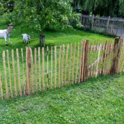 Tuinpoort Theems 100x100cm -Tuin En Buiten 123 1882