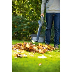 LUX 20V Accu Bladblazer (zonder Accu) 10 LUX 20V Accu Bladblazer (zonder Accu) -Tuin En Buiten 123 2009