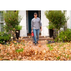 SKIL 40V Bladblazer 0380CA Brushless (zonder Accu) -Tuin En Buiten 123 2253