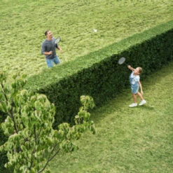 Bosch 18V Heggenschaar AHS 50-20 Li 50cm -Tuin En Buiten 123 2768