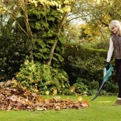 Bosch 18V Bladblazer ALB18 (zonder Accu) -Tuin En Buiten 123 3106