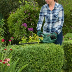 Bosch Heggenschaar EasyHedgeCut 55cm -Tuin En Buiten 123 3313