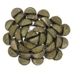 Borderrol Met Uitspoeldoek Ca. 180x20 Cm -Tuin En Buiten 123 3850