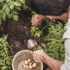 Fiskars Plantenschep -Tuin En Buiten 123 4610