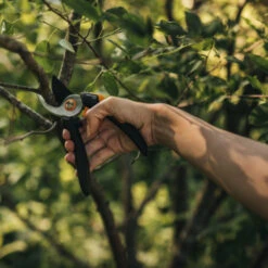 Fiskars Snoeischaar P321 -Tuin En Buiten 123 4662