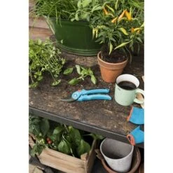 Gardena Snoeischaar Classic Standaard -Tuin En Buiten 123 5081