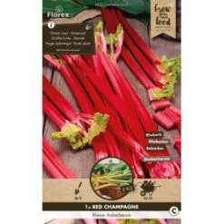 Vergeten Groentenpakket -Tuin En Buiten 123 6096