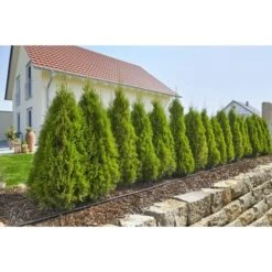 Gardena Micro Drip Startset M Voor Rijplanten (excl Timer) 6 Gardena Micro Drip Startset M Voor Rijplanten (excl Timer) -Tuin En Buiten 123 6158