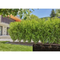 Gardena Micro Drip Startset Struik/haag 25 Meter -Tuin En Buiten 123 6168