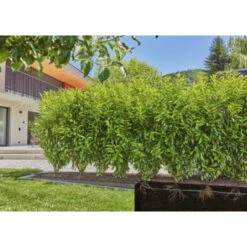 Gardena Micro Drip Druppelbuis 50 Meter Ondergronds En Bovengronds -Tuin En Buiten 123 6759