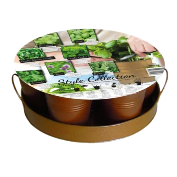 Kruidencollectie Op Dienblad 1 Kruidencollectie Op Dienblad