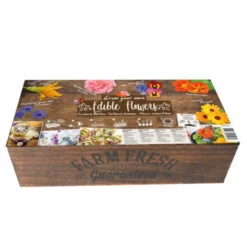 Starterset - Eetbare Bloemen Kweken