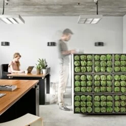 Muurhanger Verticaal Tuinieren -Tuin En Buiten 123 769