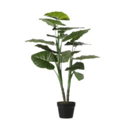 Taro Kunstplant - H100 X Ø70 Cm - Groen