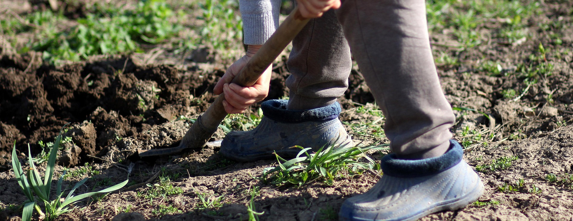 Voorkant -Tuin En Buiten dig 3310867 1920